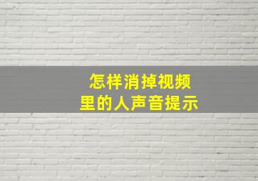 怎样消掉视频里的人声音提示