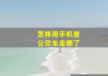 怎样用手机查公交车走哪了