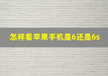 怎样看苹果手机是6还是6s