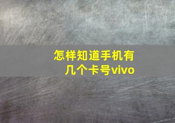 怎样知道手机有几个卡号vivo