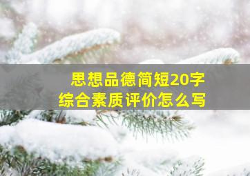 思想品德简短20字综合素质评价怎么写