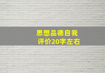 思想品德自我评价20字左右