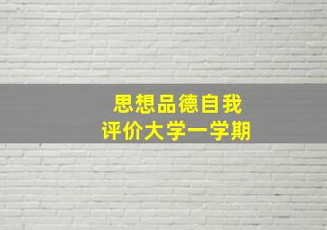 思想品德自我评价大学一学期