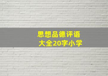 思想品德评语大全20字小学