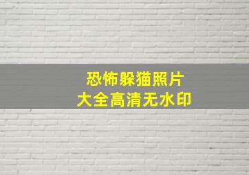 恐怖躲猫照片大全高清无水印