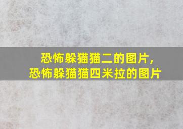 恐怖躲猫猫二的图片,恐怖躲猫猫四米拉的图片