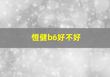 恒健b6好不好