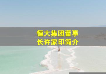 恒大集团董事长许家印简介