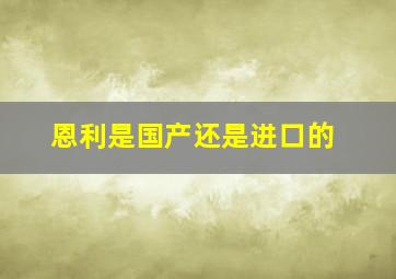 恩利是国产还是进口的