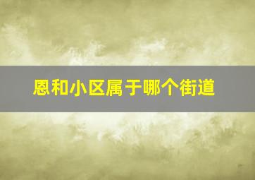 恩和小区属于哪个街道