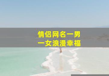 情侣网名一男一女浪漫幸福