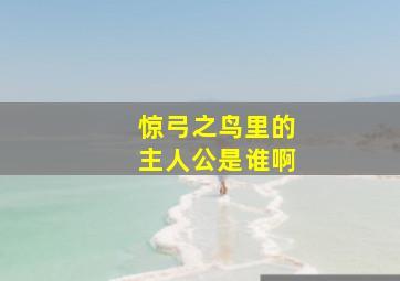 惊弓之鸟里的主人公是谁啊