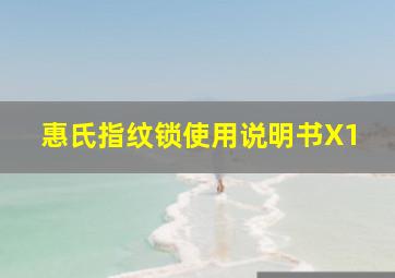 惠氏指纹锁使用说明书X1