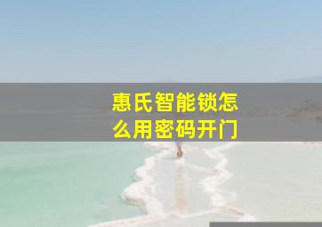 惠氏智能锁怎么用密码开门