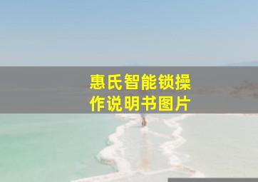 惠氏智能锁操作说明书图片