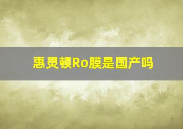 惠灵顿Ro膜是国产吗