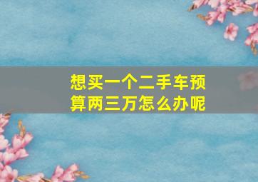 想买一个二手车预算两三万怎么办呢