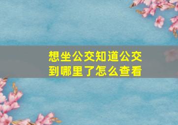 想坐公交知道公交到哪里了怎么查看