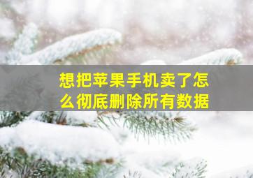 想把苹果手机卖了怎么彻底删除所有数据