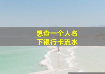 想查一个人名下银行卡流水