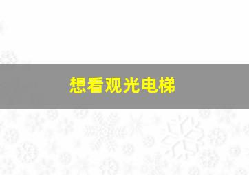 想看观光电梯