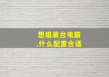 想组装台电脑,什么配置合适