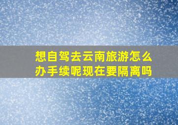 想自驾去云南旅游怎么办手续呢现在要隔离吗