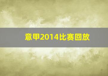 意甲2014比赛回放