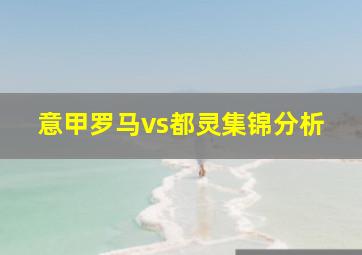 意甲罗马vs都灵集锦分析