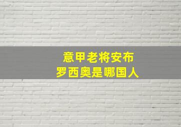 意甲老将安布罗西奥是哪国人