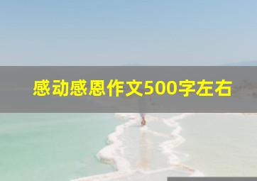 感动感恩作文500字左右