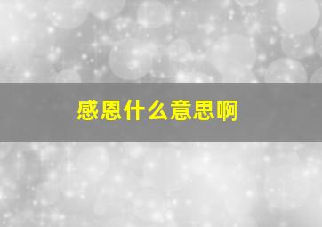 感恩什么意思啊