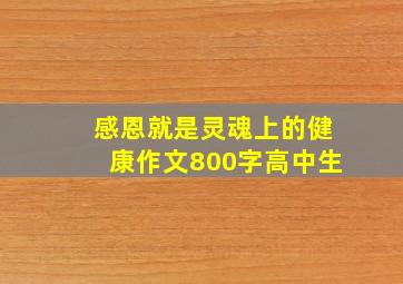 感恩就是灵魂上的健康作文800字高中生