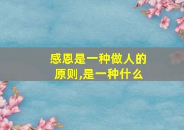 感恩是一种做人的原则,是一种什么