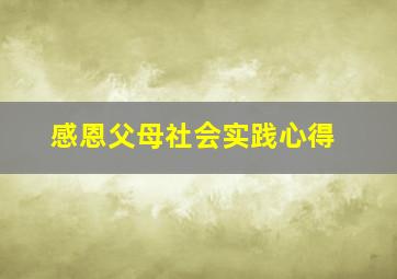 感恩父母社会实践心得