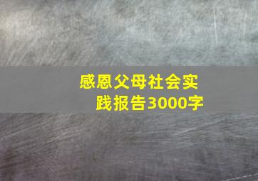 感恩父母社会实践报告3000字