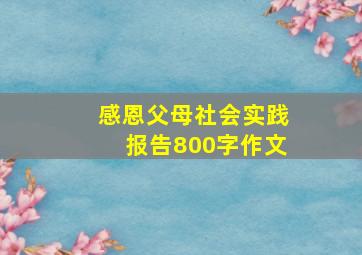 感恩父母社会实践报告800字作文