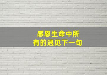 感恩生命中所有的遇见下一句