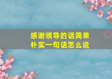 感谢领导的话简单朴实一句话怎么说