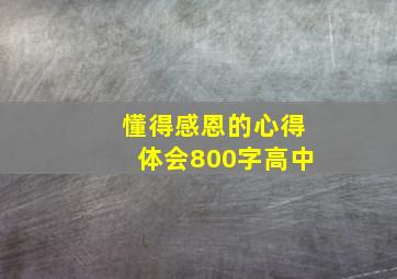 懂得感恩的心得体会800字高中