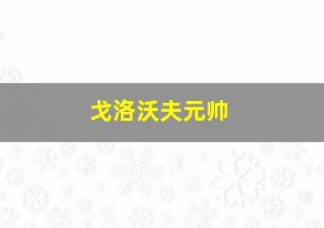 戈洛沃夫元帅