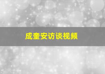 成奎安访谈视频