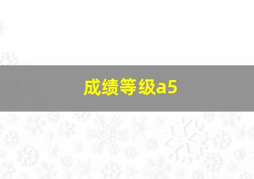 成绩等级a5