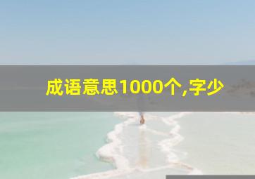 成语意思1000个,字少