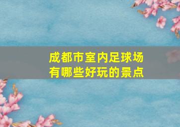 成都市室内足球场有哪些好玩的景点