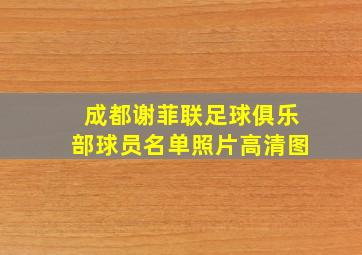 成都谢菲联足球俱乐部球员名单照片高清图