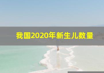 我国2020年新生儿数量