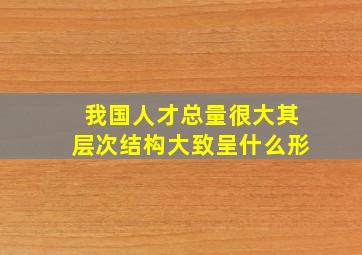 我国人才总量很大其层次结构大致呈什么形