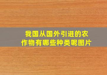 我国从国外引进的农作物有哪些种类呢图片