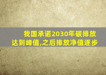 我国承诺2030年碳排放达到峰值,之后排放净值逐步